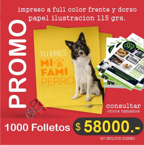 folletos1000