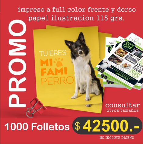 folletos1000